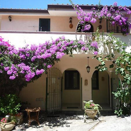 Villa Panthea Capo Vaticano Eksteriør billede