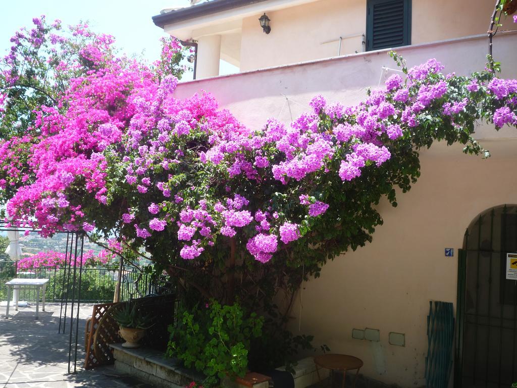 Villa Panthea Capo Vaticano Eksteriør billede
